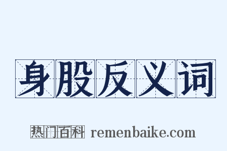 身股反义词是什么意思的图片